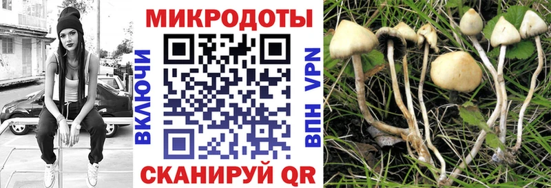 Псилоцибиновые грибы Magic Shrooms Гаджиево